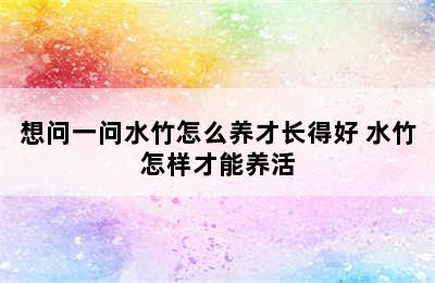 想问一问水竹怎么养才长得好 水竹怎样才能养活